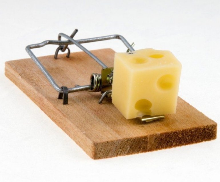 mouse trap with cheese